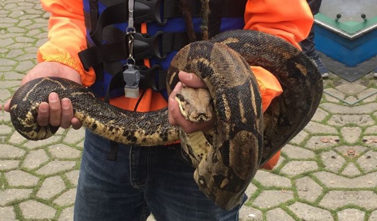 d6bd8001-101d-46ce-8f6a-da65232aca0a