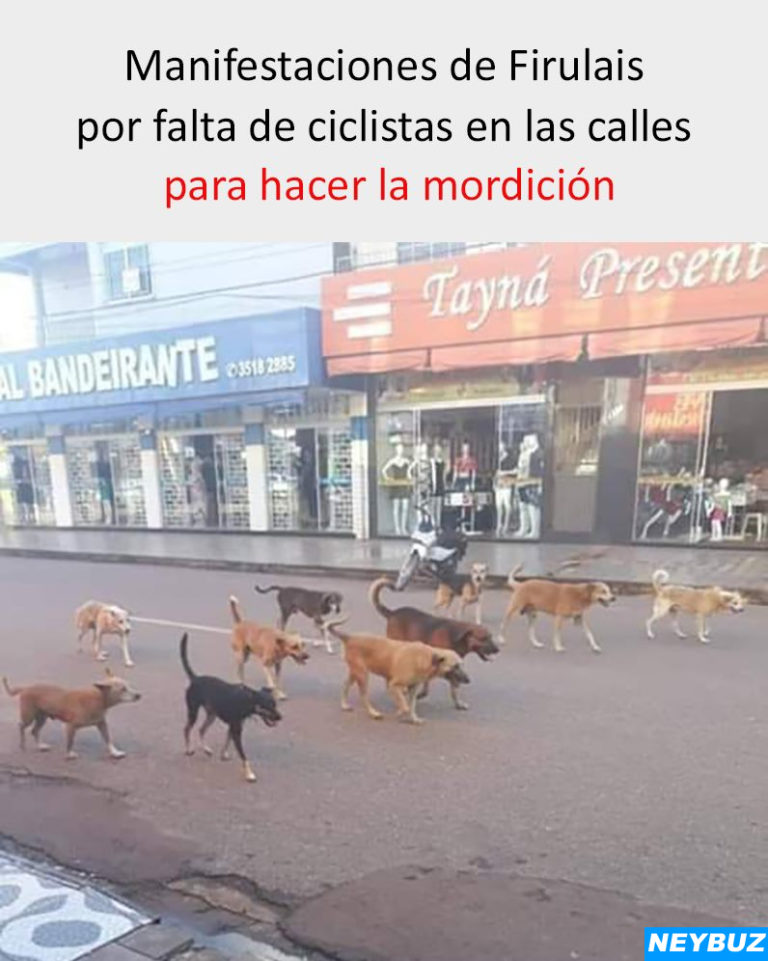 Protesta-de-Firulais