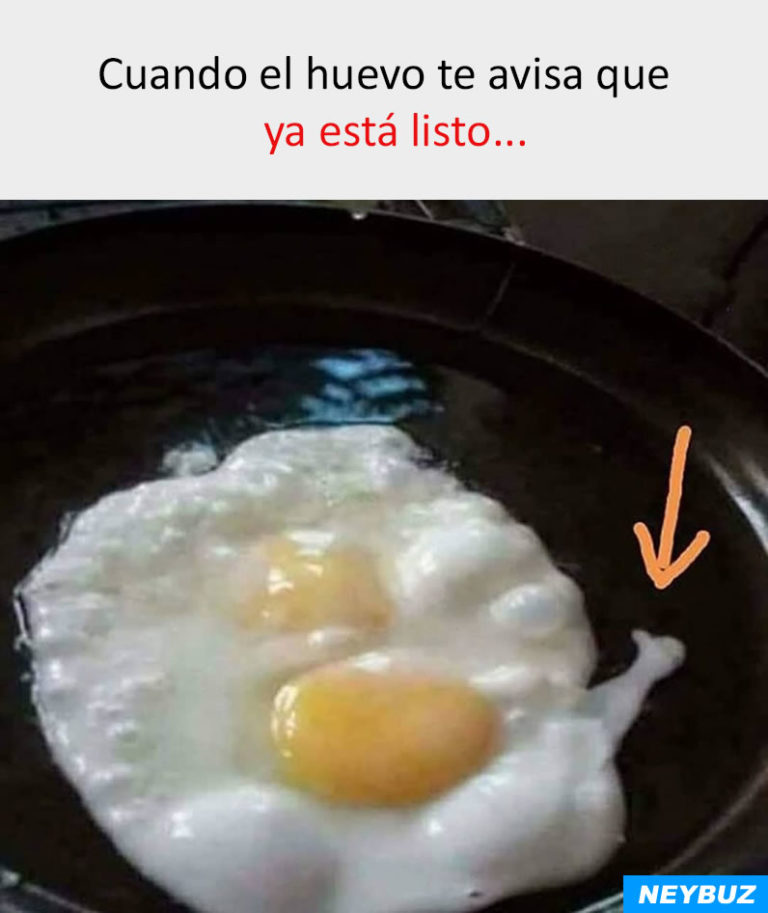 cuando-el-huevo-te-avisa-que-ya-esta-listo